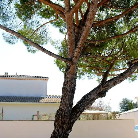 Couette-café La Dunette & 4*